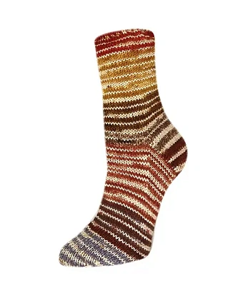 Пряжа Rellana Flotte Socke 4f. Perfect Rainbow