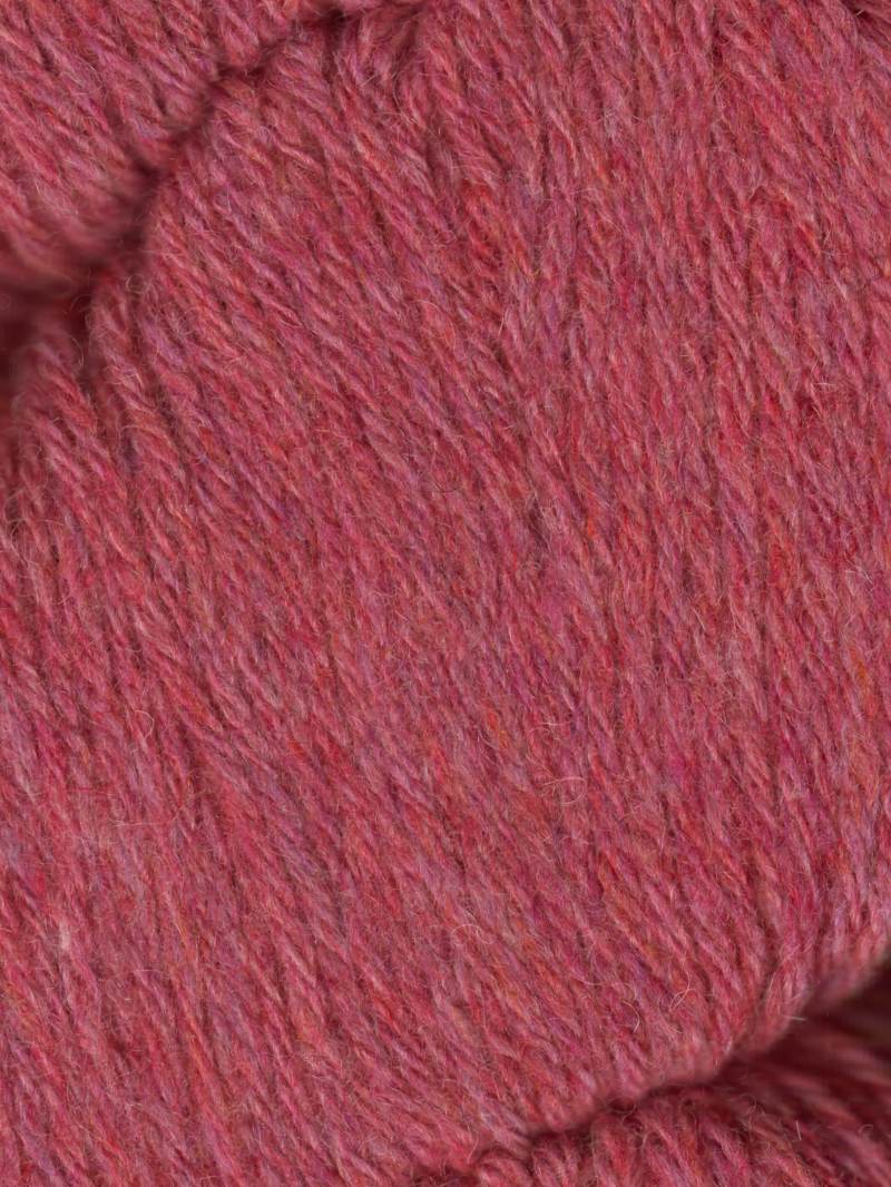 120/Begonia