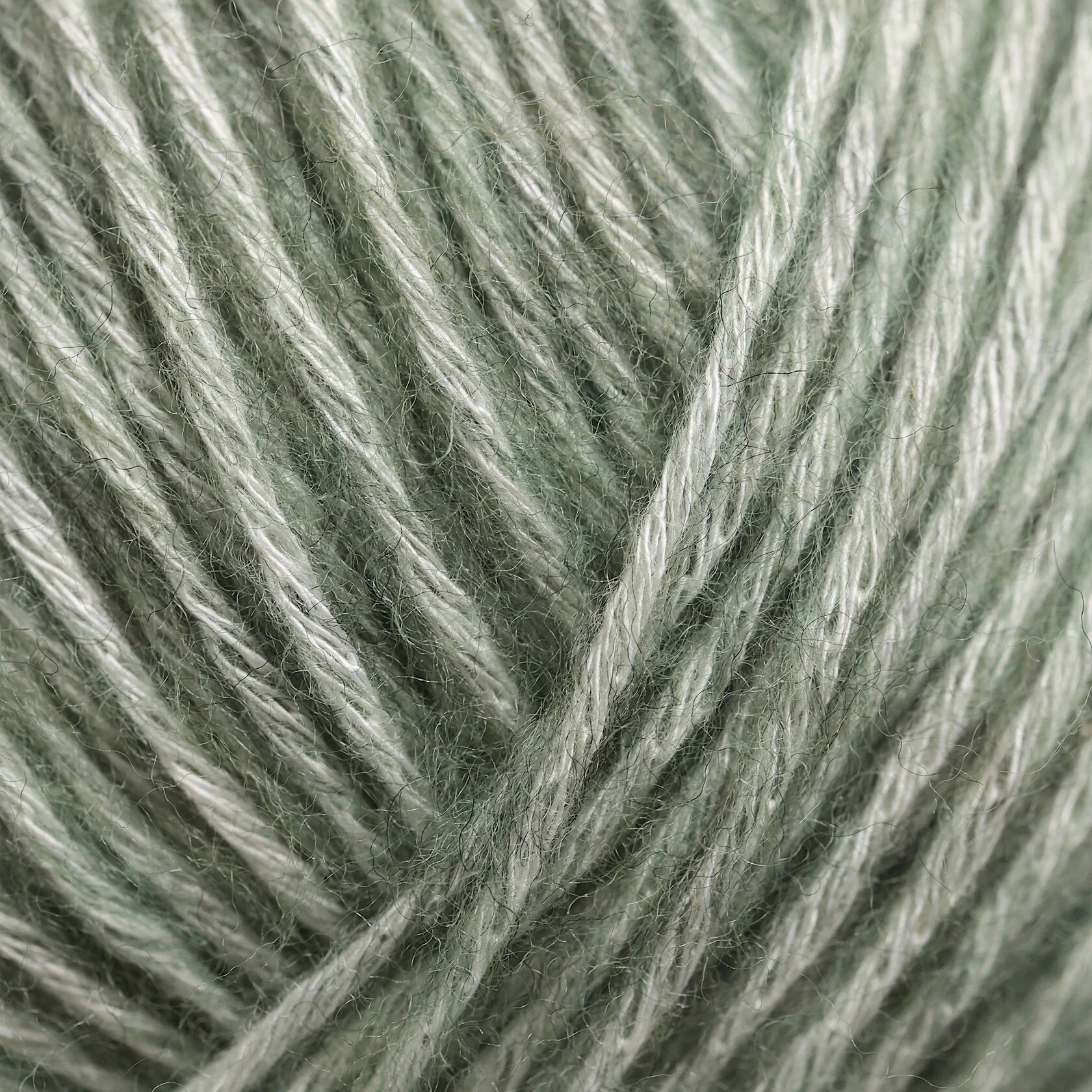 1415/Eucalyptus