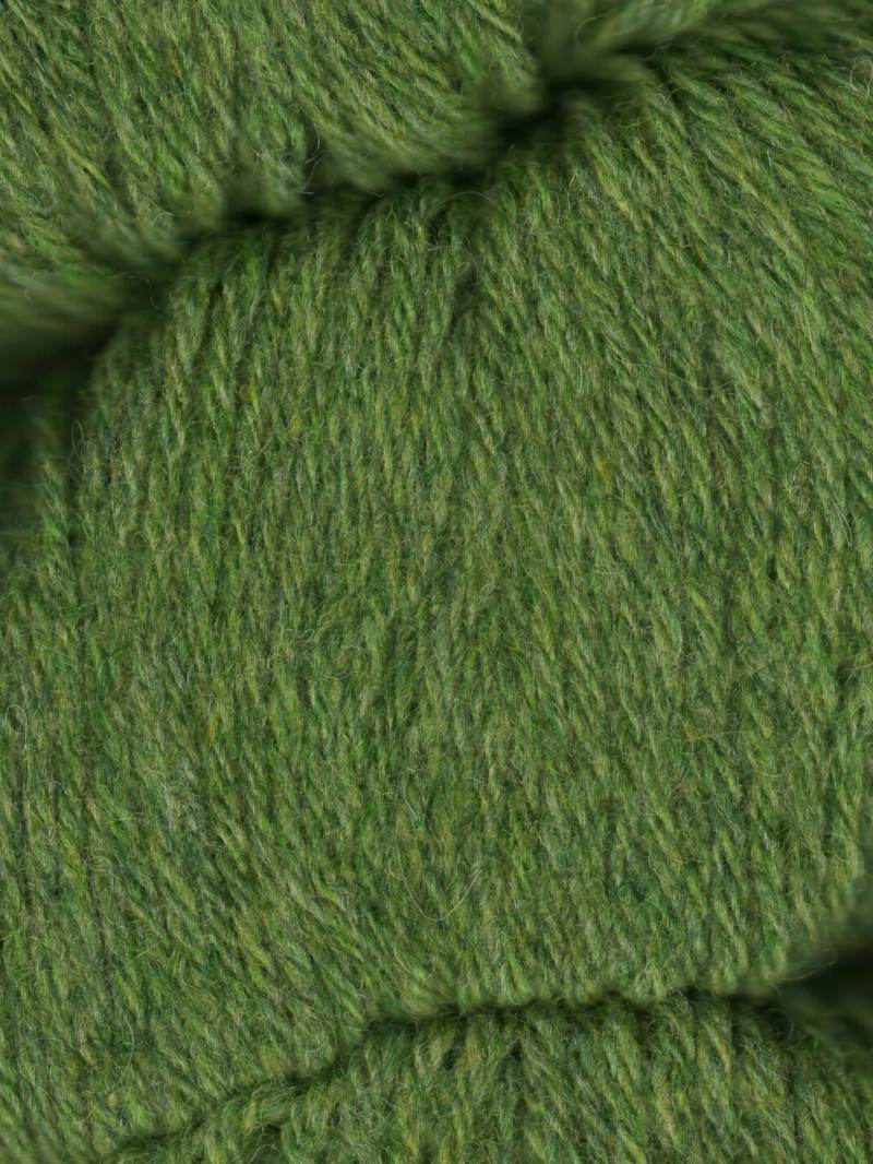 124/Wasabi