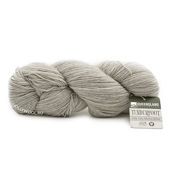 Queensland Tenderfoot (103/Alabaster)