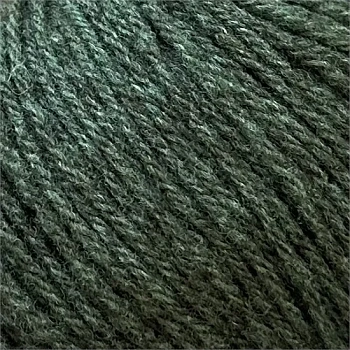 Casagrande Yak Nepal (002)