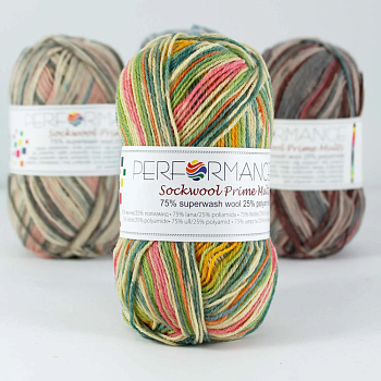 Performance Sockwool Prime Multi (21) Performance Sockwool Prime Multi (21)