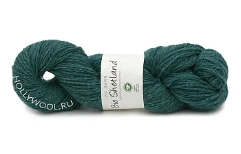 BC Garn Bio Shetland (12/Изумрудный) BC Garn Bio Shetland (12/Изумрудный)
