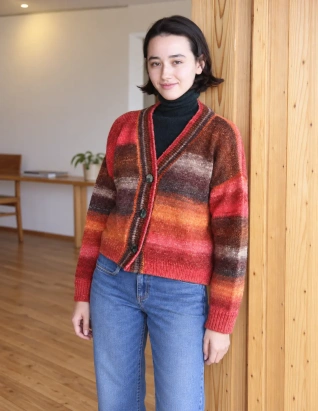 Пряжа Noro Silk Garden Sock  - купить на Hollywool.ru