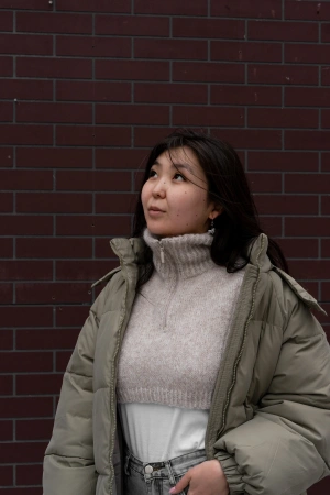 Описание Манишка Нараспашку - купить на Hollywool.ru