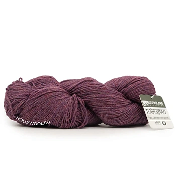 Queensland Tenderfoot (116/Brandywine)