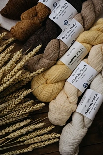 Пряжа BC Garn Babyalpaca 10/2