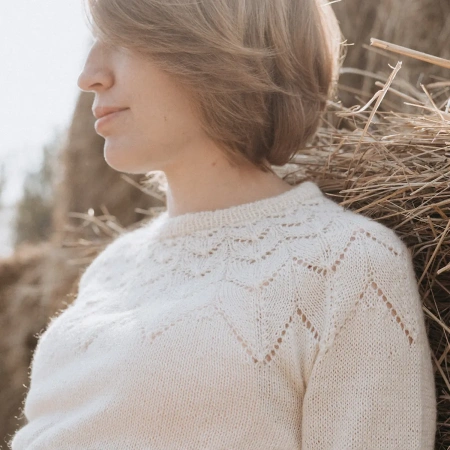 Описание Джемпер Feather - купить на Hollywool.ru