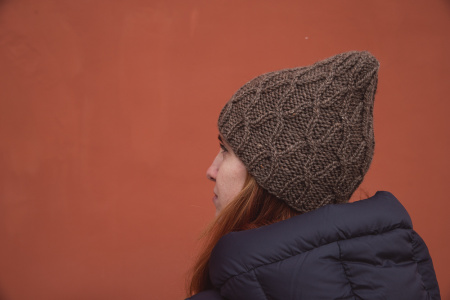 Шапка Stairway (коричневый) - купить на Hollywool.ru