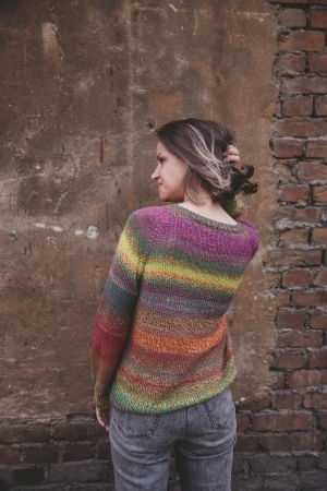 Описание Джемпер 220 volt - купить на Hollywool.ru