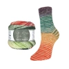 Пряжа Rellana Flotte Socke 4f. Perfect Rainbow