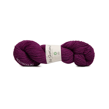 BC Garn Bio Shetland (27/Яркий фиолетовый) BC Garn Bio Shetland (27/Яркий фиолетовый)