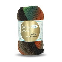 Пряжа Rellana Flotte Socke 4f. Kolibri