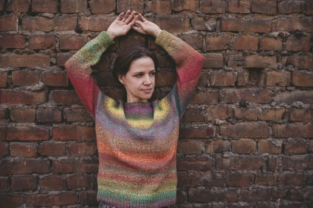 Описание Джемпер 220 volt - купить на Hollywool.ru