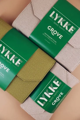 Набор съемных бамбуковых спиц 12 см 12 пар Grove Beige Lykke - купить на Hollywool.ru