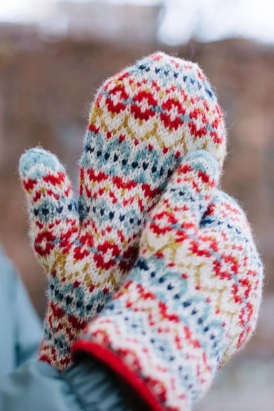 Пряжа BC Garn Bio Shetland Пряжа BC Garn Bio Shetland - купить на Hollywool.ru