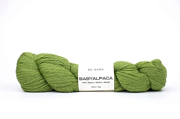 BC Garn Babyalpaca 10/2 (45/Папоротник)