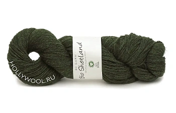 BC Garn Bio Shetland (08/Глубокий зеленый) BC Garn Bio Shetland (08/Глубокий зеленый)