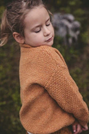 Описание детский свитер Merino Kids - купить на Hollywool.ru
