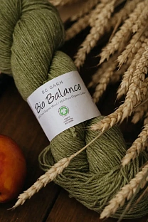 Пряжа BC Garn Bio Balance