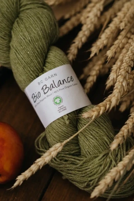 Пряжа BC Garn Bio Balance Пряжа BC Garn Bio Balance - купить на Hollywool.ru