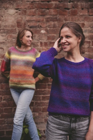 Описание Джемпер 220 volt - купить на Hollywool.ru