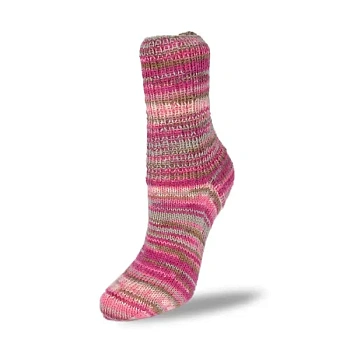 Rellana Flotte Socke 4f. Rigoletto (1135/Куст чайных роз) D Rellana Flotte Socke 4f. Rigoletto (1135/Куст чайных роз) D