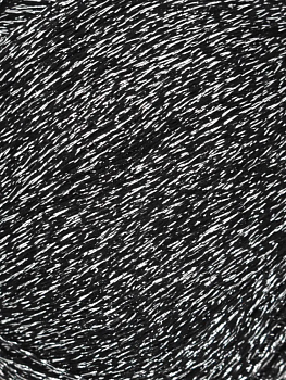 Jody Long Diva (001)