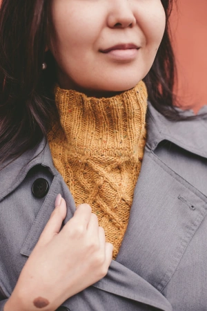 Описание Манишка CARE LINES - купить на Hollywool.ru