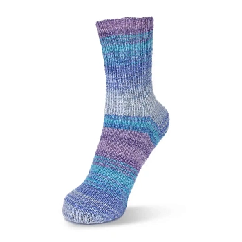 Rellana Flotte Socke 4f. Baumwolle + Wolle Stretch Tutti Frutti (1414/Питахайя+Акебия) D