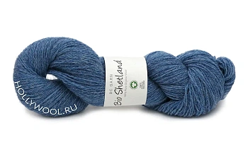 BC Garn Bio Shetland (14/Голубой меланж) BC Garn Bio Shetland (14/Голубой меланж)