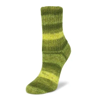 Rellana Flotte Socke 4f. Cashmere-Merino (1327/Киви)