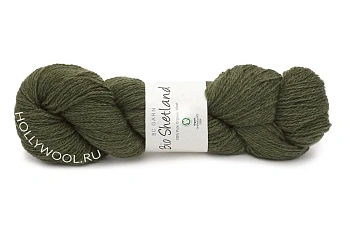 BC Garn Bio Shetland (09/Оливковый) BC Garn Bio Shetland (09/Оливковый)