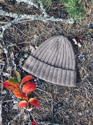 Описание Шапка Cash Hat - купить на Hollywool.ru