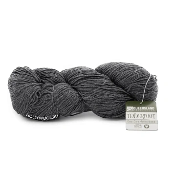 Queensland Tenderfoot (101/Carbon grey)